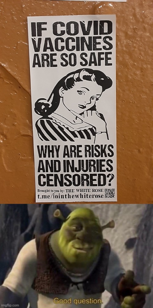 image tagged in shrek good question,covid-19,politics,memes | made w/ Imgflip meme maker