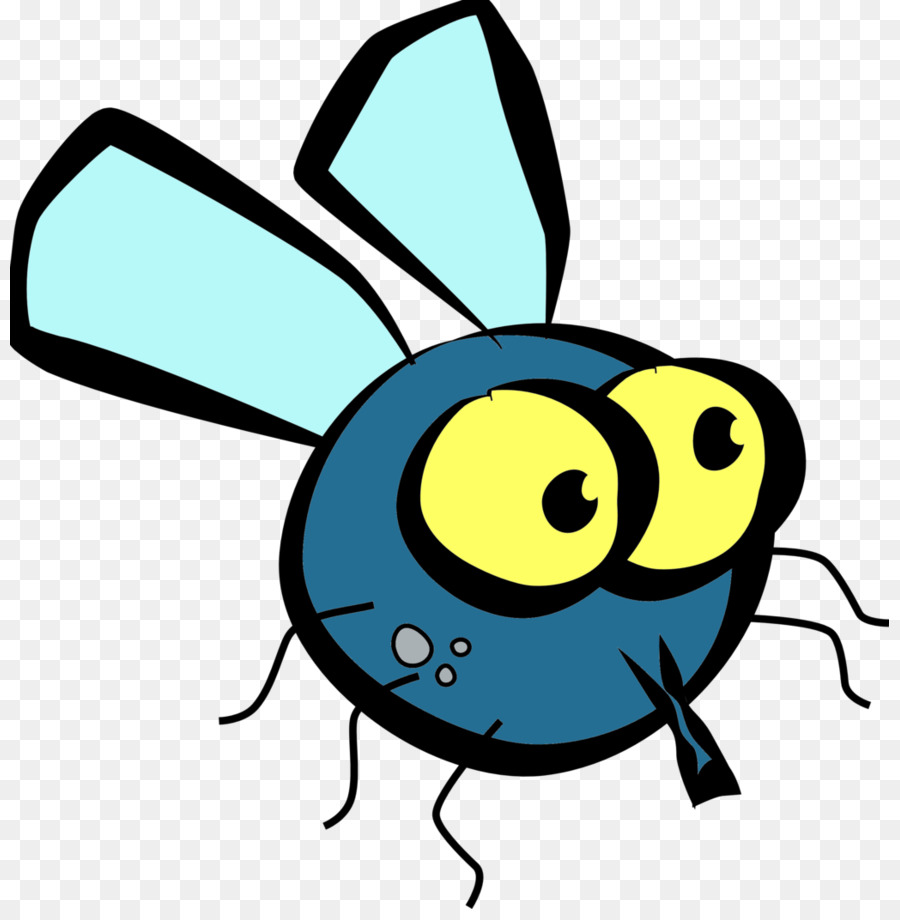 fly bug Blank Meme Template