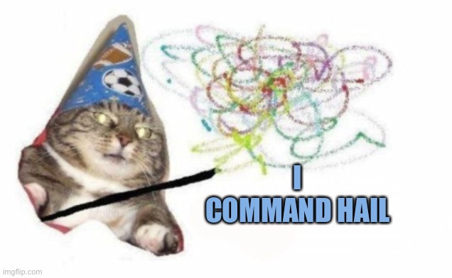 Woosh cat | I COMMAND HAIL | image tagged in woosh cat | made w/ Imgflip meme maker