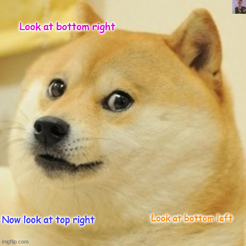 Doge | Look at bottom right; Look at bottom left; Now look at top right | image tagged in memes,doge,stop reading the tags,stop,oh wow are you actually reading these tags | made w/ Imgflip meme maker