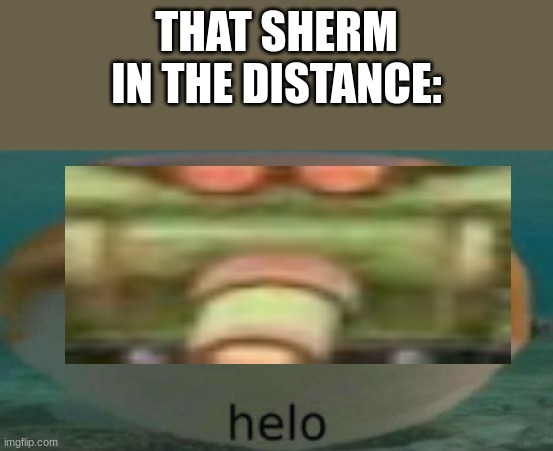 helo | THAT SHERM IN THE DISTANCE: | image tagged in helo | made w/ Imgflip meme maker