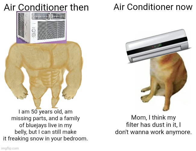 conditional | Air Conditioner then; Air Conditioner now; I am 50 years old, am missing parts, and a family of bluejays live in my belly, but I can still make it freaking snow in your bedroom. Mom, I think my filter has dust in it, I don't wanna work anymore. | image tagged in memes,buff doge vs cheems | made w/ Imgflip meme maker