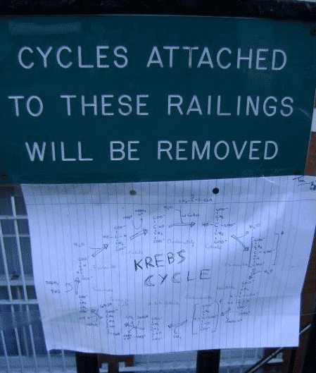 image tagged in funny,signs/billboards