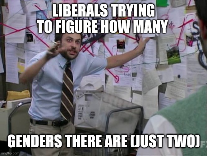 Charlie Conspiracy (Always Sunny in Philidelphia) | LIBERALS TRYING TO FIGURE HOW MANY GENDERS THERE ARE (JUST TWO) | image tagged in charlie conspiracy always sunny in philidelphia | made w/ Imgflip meme maker