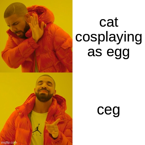 Drake Hotline Bling Meme | cat cosplaying as egg ceg | image tagged in memes,drake hotline bling | made w/ Imgflip meme maker