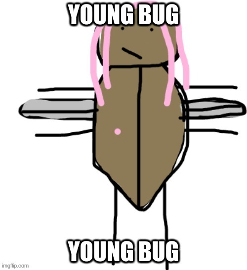 young thug is a fly confirmed? | YOUNG BUG; YOUNG BUG | image tagged in young thug | made w/ Imgflip meme maker