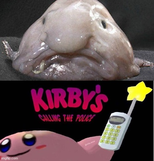 why does this exist | image tagged in kirby's calling the police,why do i hear boss music,oh wow are you actually reading these tags,stop reading the tags,i said stop | made w/ Imgflip meme maker