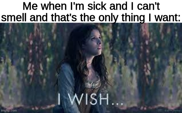More than anything more than LIFE! | Me when I'm sick and I can't smell and that's the only thing I want: | image tagged in into the woods,disney,sick,smell,i wish,covid | made w/ Imgflip meme maker