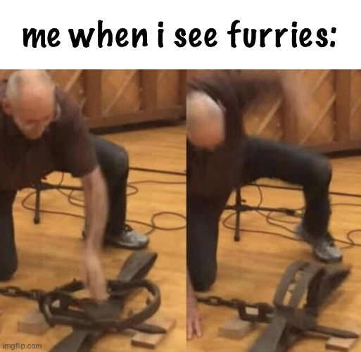 this is a joke, i wouldn’t do this irl | me when i see furries: | image tagged in bear trap punch | made w/ Imgflip meme maker