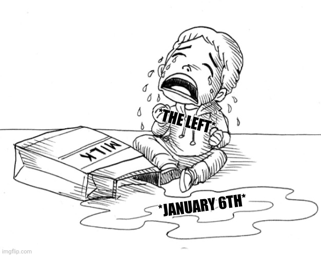 *THE LEFT*; *JANUARY 6TH* | image tagged in january 6th,boo hoo,spilled milk,get over it,it was just an idea | made w/ Imgflip meme maker