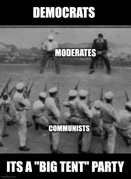 DEMOCRATS; MODERATES; COMMUNISTS; ITS A "BIG TENT" PARTY | made w/ Imgflip meme maker