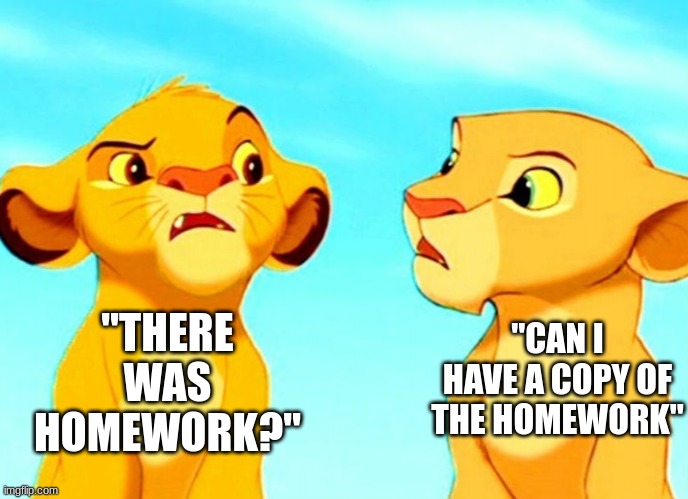 My school life be like: | "CAN I HAVE A COPY OF THE HOMEWORK"; "THERE WAS HOMEWORK?" | image tagged in lion king,disney,math,homework,school | made w/ Imgflip meme maker