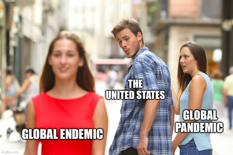 Endemic vs Pandemic | THE UNITED STATES; GLOBAL PANDEMIC; GLOBAL ENDEMIC | image tagged in memes,distracted boyfriend,covid-19,pandemic | made w/ Imgflip meme maker