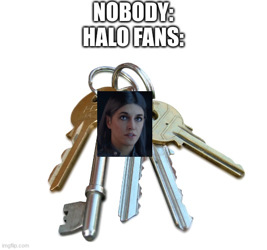 Miranda Key(e)s |  NOBODY:
HALO FANS: | image tagged in keys,halo,video games | made w/ Imgflip meme maker