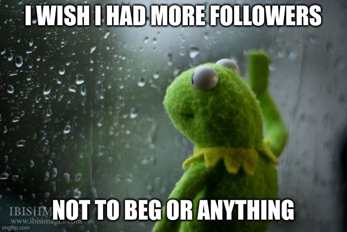 kermit window | I WISH I HAD MORE FOLLOWERS NOT TO BEG OR ANYTHING | image tagged in kermit window | made w/ Imgflip meme maker