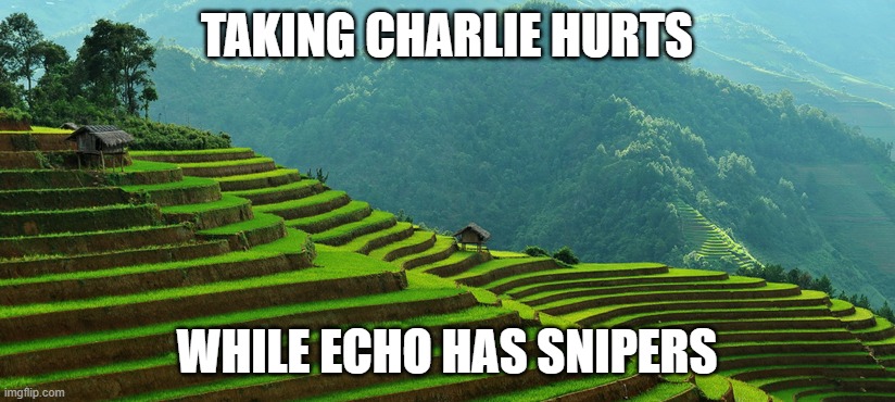 Vietnam minecraft | TAKING CHARLIE HURTS; WHILE ECHO HAS SNIPERS | image tagged in vietnam minecraft | made w/ Imgflip meme maker