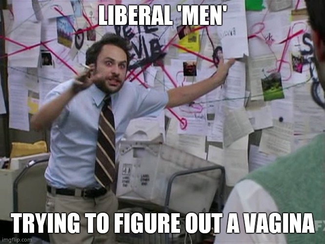 Charlie Conspiracy (Always Sunny in Philidelphia) | LIBERAL 'MEN' TRYING TO FIGURE OUT A VAGINA | image tagged in charlie conspiracy always sunny in philidelphia | made w/ Imgflip meme maker