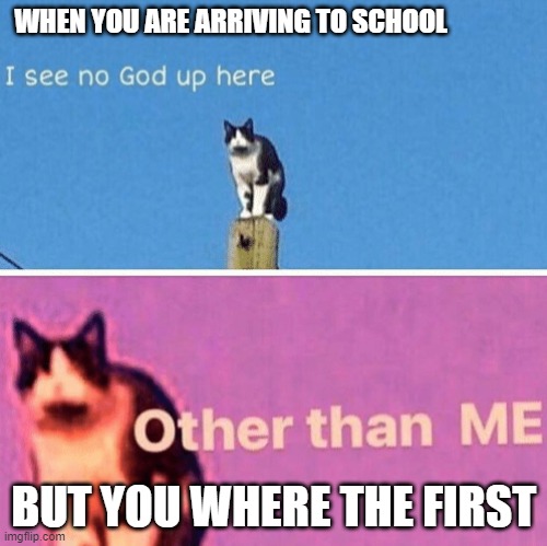 Hail pole cat | WHEN YOU ARE ARRIVING TO SCHOOL; BUT YOU WHERE THE FIRST | image tagged in hail pole cat | made w/ Imgflip meme maker