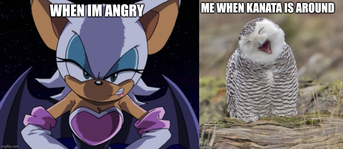 ME WHEN KANATA IS AROUND WHEN IM ANGRY | image tagged in angry rouge | made w/ Imgflip meme maker