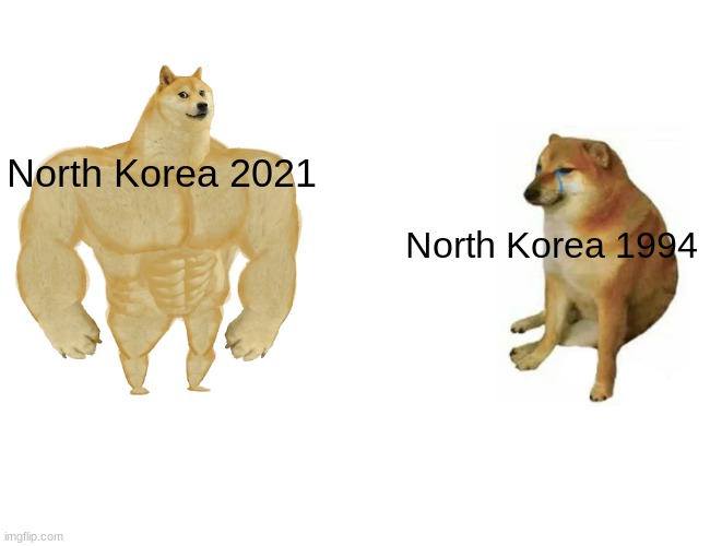 Buff Doge vs. Cheems Meme | North Korea 2021; North Korea 1994 | image tagged in memes,buff doge vs cheems | made w/ Imgflip meme maker