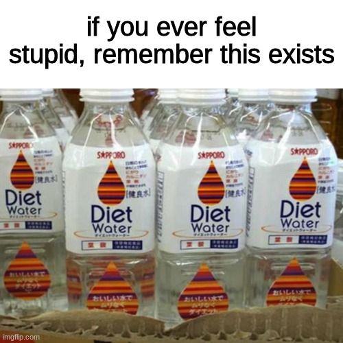 Diet water | if you ever feel stupid, remember this exists | image tagged in dumbass | made w/ Imgflip meme maker