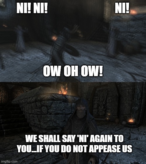 NI! NI!                             NI! OW OH OW! WE SHALL SAY 'NI' AGAIN TO YOU...IF YOU DO NOT APPEASE US | image tagged in skyrim,funny,monty python and the holy grail | made w/ Imgflip meme maker