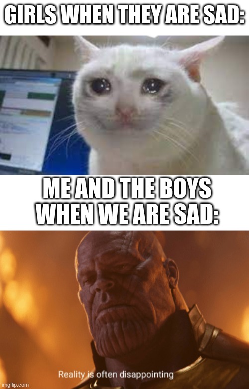 Boys V.S Girls, being sad | GIRLS WHEN THEY ARE SAD:; ME AND THE BOYS WHEN WE ARE SAD: | image tagged in reality is often dissapointing | made w/ Imgflip meme maker