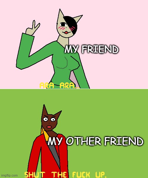 MY FRIEND; MY OTHER FRIEND | made w/ Imgflip meme maker