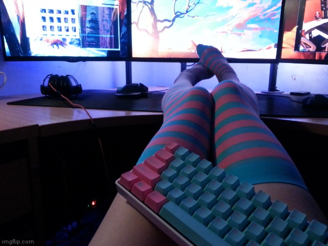 Programmer Socks | image tagged in programmer socks | made w/ Imgflip meme maker