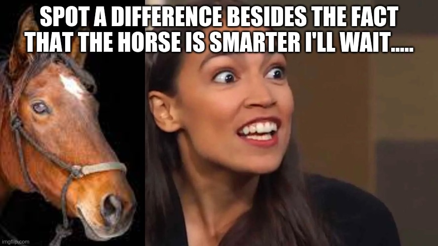 Where is it? Hmmmm..... | SPOT A DIFFERENCE BESIDES THE FACT THAT THE HORSE IS SMARTER I'LL WAIT..... | image tagged in crazy aoc,horse,lol,conservatives,smart,memes | made w/ Imgflip meme maker