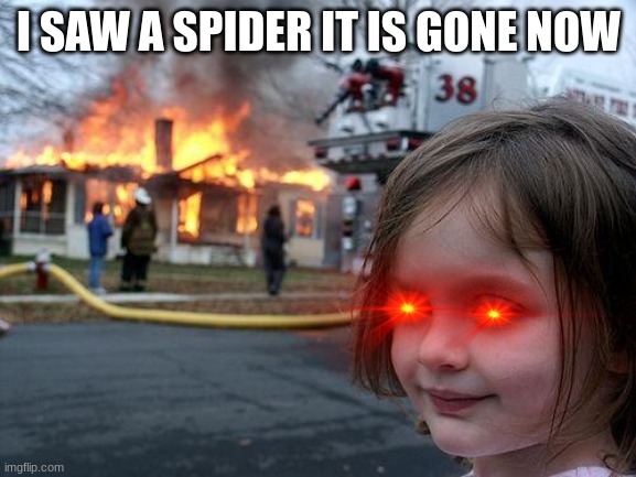 Disaster Girl Meme |  I SAW A SPIDER IT IS GONE NOW | image tagged in memes,disaster girl | made w/ Imgflip meme maker