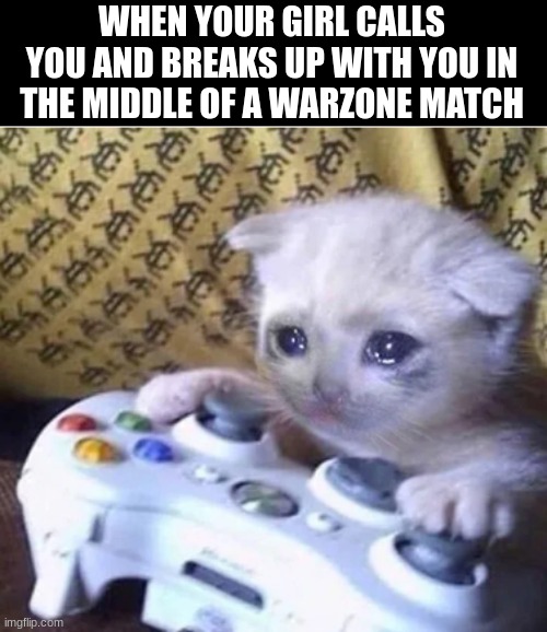 Sad Warzone Gaming | WHEN YOUR GIRL CALLS YOU AND BREAKS UP WITH YOU IN THE MIDDLE OF A WARZONE MATCH | image tagged in sad gaming cat | made w/ Imgflip meme maker