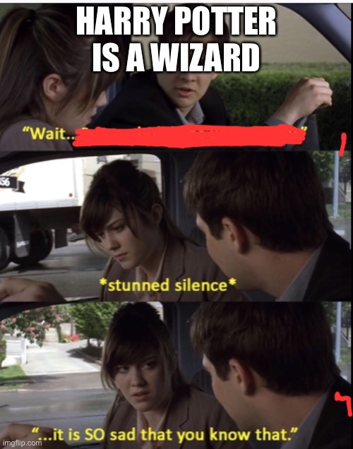 HARRY POTTER IS A WIZARD | image tagged in memes | made w/ Imgflip meme maker