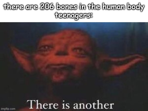 Hmm.. |  there are 206 bones in the human body
teenagers: | image tagged in yoda there is another,dark humor,funny memes,yoda,star wars,teenagers | made w/ Imgflip meme maker