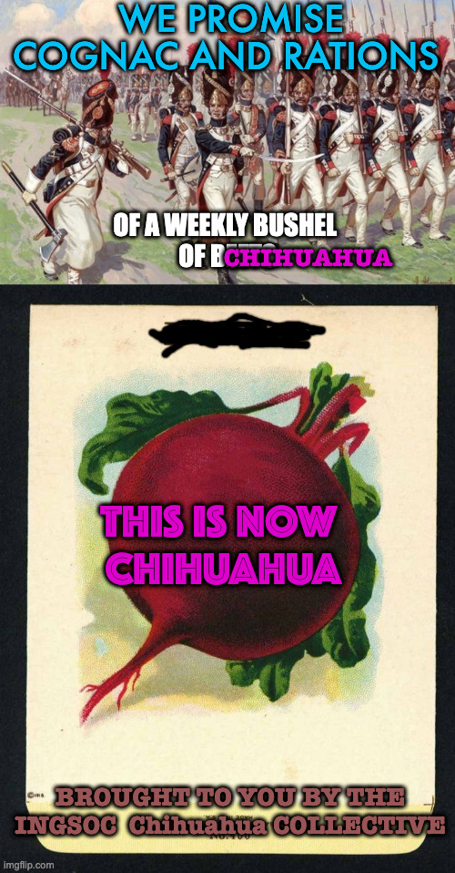 ChihuahuaBEETS | WE PROMISE COGNAC AND RATIONS; OF A WEEKLY BUSHEL 
OF BEETS; CHIHUAHUA; THIS IS NOW 
CHIHUAHUA; BROUGHT TO YOU BY THE INGSOC  Chihuahua COLLECTIVE | made w/ Imgflip meme maker