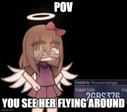 POV; YOU SEE HER FLYING AROUND | made w/ Imgflip meme maker