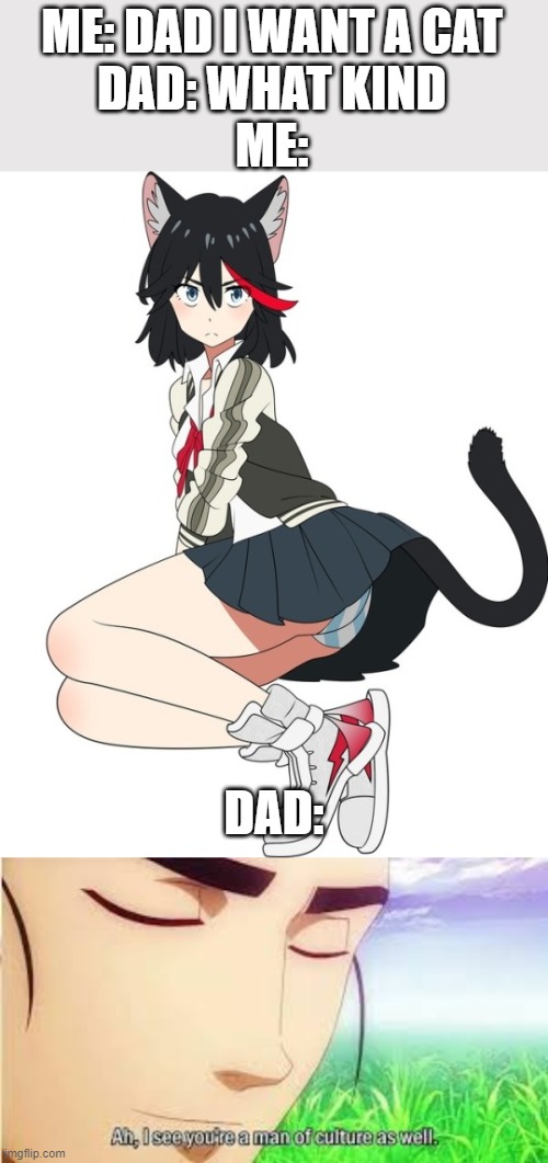 ME: DAD I WANT A CAT
DAD: WHAT KIND
ME:; DAD: | image tagged in ah i see you are a man of culture as well,kill la kill,ryuko | made w/ Imgflip meme maker
