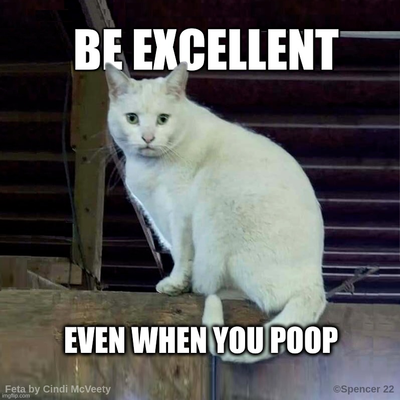 EVEN WHEN YOU POOP | image tagged in feta,excellent,poop,kitty,motivational | made w/ Imgflip meme maker