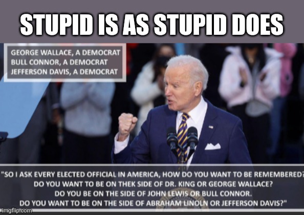 STUPID IS AS STUPID DOES | made w/ Imgflip meme maker