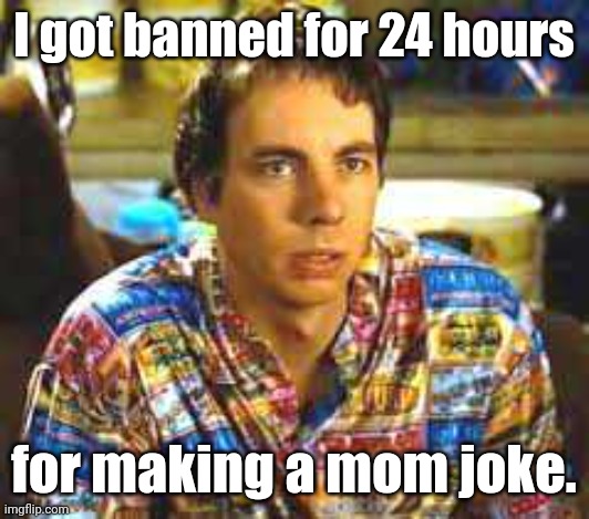 Frito Pendejo likes money. | I got banned for 24 hours for making a mom joke. | image tagged in frito pendejo likes money | made w/ Imgflip meme maker