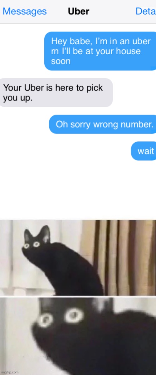 Uber | image tagged in oh no black cat,uber,oh no | made w/ Imgflip meme maker