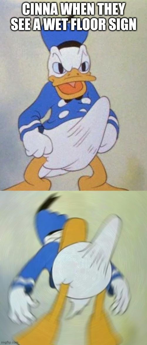 donald duck boner | CINNA WHEN THEY SEE A WET FLOOR SIGN | image tagged in donald duck boner | made w/ Imgflip meme maker