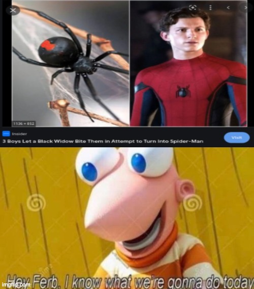 Spider man | image tagged in hey ferb,lol,funny,memes,funny memes | made w/ Imgflip meme maker