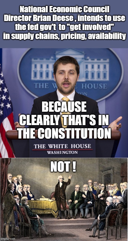 It's High Time The People Just Say No to Gov't Over Reach | National Economic Council Director Brian Deese , intends to use the fed gov't  to "get involved" in supply chains, pricing, availability; BECAUSE CLEARLY THAT'S IN THE CONSTITUTION; NOT ! | image tagged in director of the national economic council brian deese | made w/ Imgflip meme maker