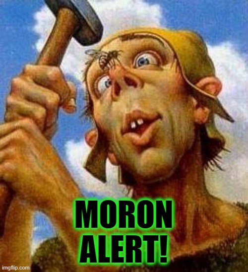 MORON
ALERT! | made w/ Imgflip meme maker