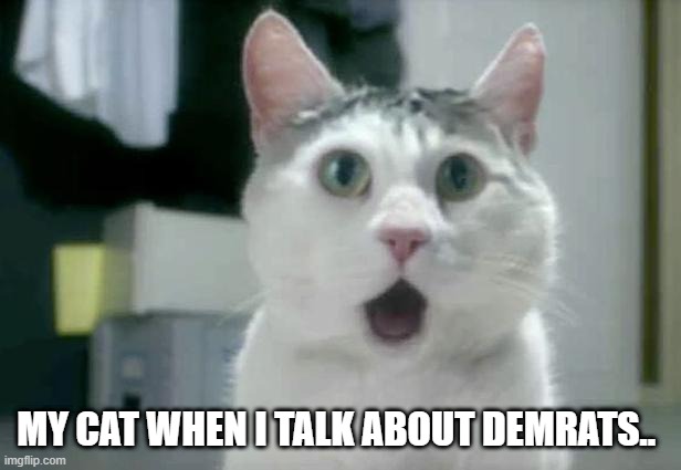 I loath NWO demrats | MY CAT WHEN I TALK ABOUT DEMRATS.. | image tagged in memes,omg cat | made w/ Imgflip meme maker