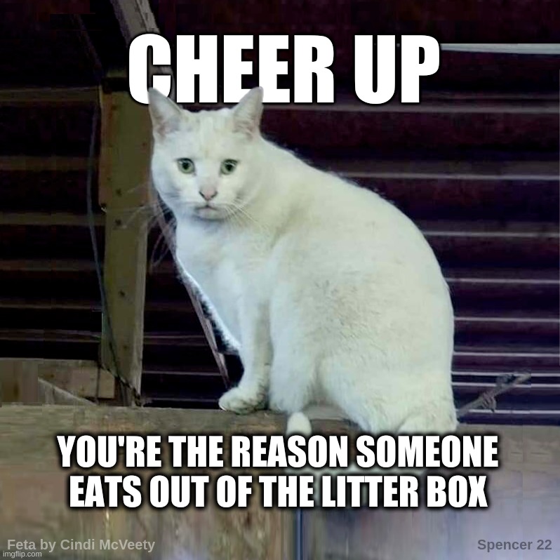 Be The Reason. | YOU'RE THE REASON SOMEONE EATS OUT OF THE LITTER BOX | image tagged in feta,i have to poop cat,smudge,smudge the cat,litter box,snacks | made w/ Imgflip meme maker