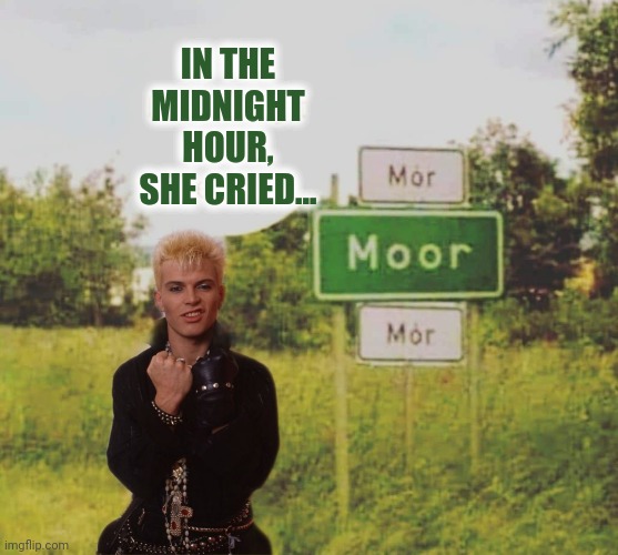 With a Rebel Yell | IN THE MIDNIGHT HOUR, SHE CRIED... | image tagged in billy idol,rebel,yell,rock music | made w/ Imgflip meme maker
