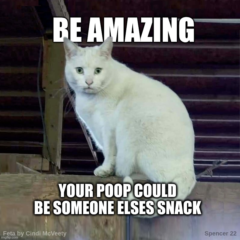 When the dog goes to the litter box for snacks | YOUR POOP COULD BE SOMEONE ELSES SNACK | image tagged in amazing,snacks,motivational,poop,litter box,i have to poop cat | made w/ Imgflip meme maker