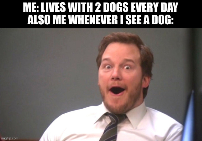doggo | ME: LIVES WITH 2 DOGS EVERY DAY
ALSO ME WHENEVER I SEE A DOG: | image tagged in chris pratt happy | made w/ Imgflip meme maker